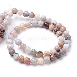 Natural Bamboo Leaf Agate Bead Strands&nbsp;G-R345-4mm-42
