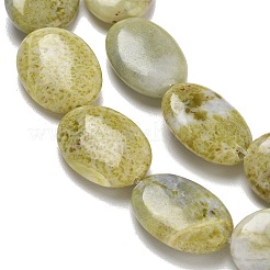 天然石レモンジェイド翡翠ビーズ連売り  フラットオーバル  20x15x7mm  穴：1.4mm  約20個/連  15.75''（40センチメートル）&nbsp;G-B078-G04-02