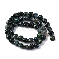 Natural Moss Agate Beads Strands&nbsp;G-C179-A21-03