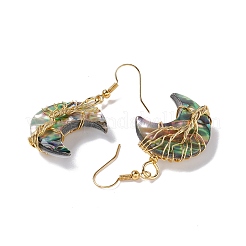 Natural Paua Shell Crescent Moon Dangle Earrings&nbsp;EJEW-G307-01G