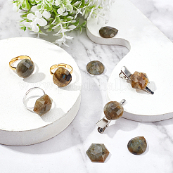 9Pcs 3 Style Natural Labradorite Cabochons&nbsp;G-FH0001-27