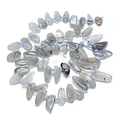 Natural Grey Moonstone Beads Strands&nbsp;G-G106-J01-01
