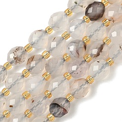 Natural Dendritic Agate Beads Strands&nbsp;G-F809-A53-01