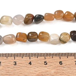 天然石ペトリファイドウッドビーズ連売り  ナゲット  タンブルストーン  6~8.5x6~7.5x5~8mm  穴：0.9mm  約27~35個/連  7.48~8.26''（19~21センチメートル）&nbsp;GG-CBA9392-31