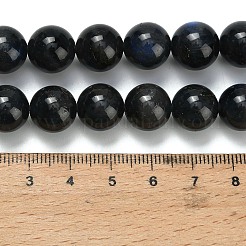 Natural Black Labradorite Beads Strands&nbsp;G-L642-B15-12mm