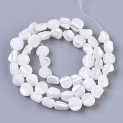Trochus Shell Beads Strands&nbsp;SHEL-T016-10
