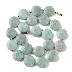 Natural Amazonite Beads Strands&nbsp;G-C116-A158-03