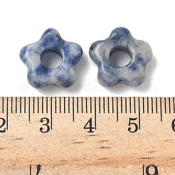 Natural Blue Spot Jasper European Beads&nbsp;G-C252-02B