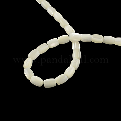 Barrel Natural Trochid Shell/Trochus Shell Beads Strands&nbsp;SSHEL-F290-25
