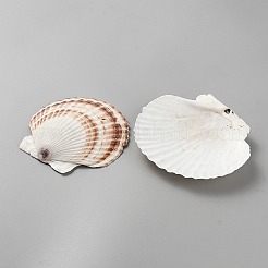 天然貝のジュエリープレート  指輪収納トレー  ネックレス  ピアス  貝殻色  10.7~11.2x11.6~12.4x2~2.05cm&nbsp;AJEW-WH0596-488D