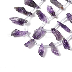 Natural Amethyst Beads Strands&nbsp;G-Q023-B02-01