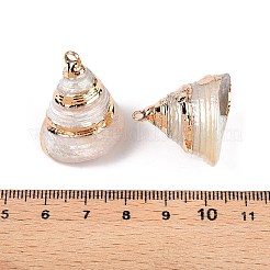 天然石海シェルペンダント  金色の鉄製ループが付いた貝殻型のチャーム  ホワイト  20~29x18~29x19~27mm  穴：1.4~2mm&nbsp;SSHEL-N038-58A