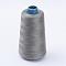Polyester Thread, Silver, 0.28mm, about 1749.78 yards(1600m)/roll