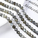 Natural Labradorite Beads Strands&nbsp;G-T108-61-4