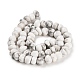 Natural Howlite Beads Strands&nbsp;G-G053-C09-01-3