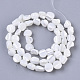 Trochus Shell Beads Strands&nbsp;SHEL-T016-10-2