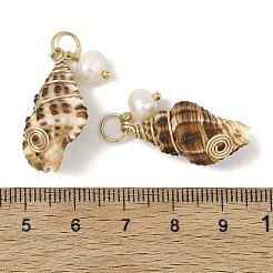 銅線で巻かれた天然の螺旋状の貝殻ペンダント  コンクチャーム  天然養殖淡水真珠と304ステンレススチール製のオープン丸カンを使用  ゴールドカラー  27~32.5x13~16x11~15mm  穴：4.5mm&nbsp;PALLOY-JF05972-01