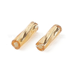 ガラスツイストbuglesシードビーズ  ゴールデンロッド  約6mm長  直径1.8mm  穴：0.6mm  約10000個/袋。 1ポンドのパッケージごとに販売&nbsp;TTSDB6MM22