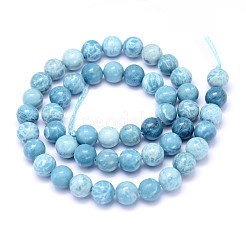 Natural Gemstone Beads Strands&nbsp;X-G-L367-01-8mm