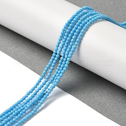 Synthetic Turquoise Dyed Beads Strands&nbsp;G-B090-A14-01