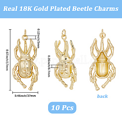 真鍮製ペンダント10個  丸カン付き  カブトムシのチャーム  ゴールドカラー  37x17x6.7mm  丸カン：5x0.8ミリ  3mm内径&nbsp;KK-BBC0021-61
