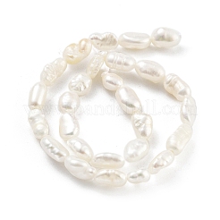 Natural Keshi Pearl Cultured Freshwater Pearl Beads Strands&nbsp;PEAR-P062-33