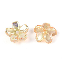 Transparent Electroplate Glass Bead Caps&nbsp;EGLA-N015-01C