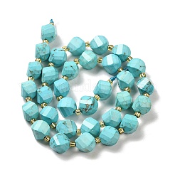 Dyed Natural Howlite Beads Strands&nbsp;G-G023-B01-01B