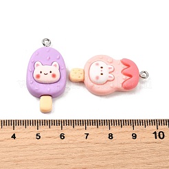 Opaque Resin Pendants&nbsp;CRES-D313-06P