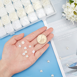 2 Colors ABS Plastic Imitation Pearl Cabochons & No Hole Beads&nbsp;MRMJ-PH0001-47