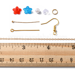 DIY DIYフラワーダングルイヤリング作成キット  アクリル＆プラスチックパールビーズを含む  アイアン製ピアスフック  真鍮製アズキチェーン  ミックスカラー&nbsp;DIY-FS0004-40