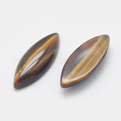 Natural Tiger Eye Cabochons&nbsp;G-G759-O01