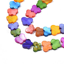 Dyed Natural Freshwater Shell Beads Strands&nbsp;SHEL-T009-B18