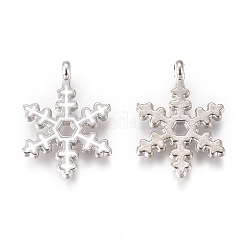 Platinum Plated Alloy Pendants&nbsp;X-PALLOY-L228-010P