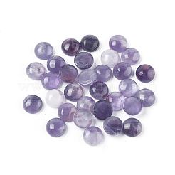 Natural Amethyst Cabochons&nbsp;G-G788-B-07