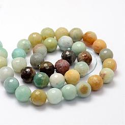 Faceted Natural Flower Amazonite Beads Strands&nbsp;G-F364-13-10mm