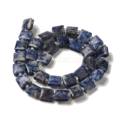 Natural Blue Spot Jasper Beads Strands&nbsp;G-L596-A07-01