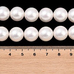 Electroplated Glass Pearl Graduated Beads Strands&nbsp;BSHE-C011-03B