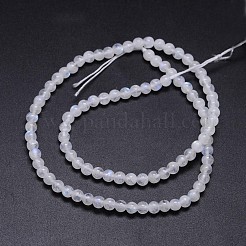 Natural Rainbow Moonstone Round Bead Strands&nbsp;G-M263-A-02