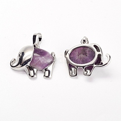 Natural Amethyst Pendants&nbsp;G-G713-E12