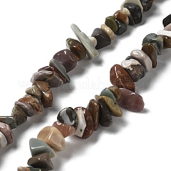 天然アラシャン瑪瑙ビーズ連売り  チップ  1~8x5~17x5~8mm  穴：0.9~1mm  30.31~31.50''（77~80センチメートル）&nbsp;G-M205-79