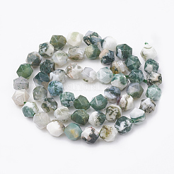 Natural Tree Agate Beads Strands&nbsp;G-S332-6mm-010