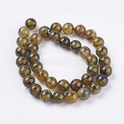 Natural Dragon Veins Agate Beads Strands&nbsp;G-G515-10mm-02A