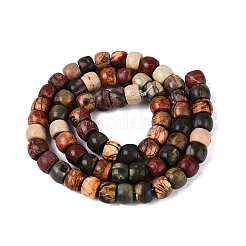 Natural Picasso Jasper/Polychrome Jasper Beads Strands&nbsp;G-Q616-02A-06