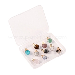 10Pcs 10 Style Natural Gemstone Charms&nbsp;G-LS0002-15