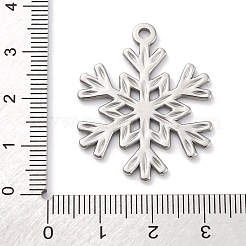 304 Stainless Steel Pendants&nbsp;STAS-G354-04P