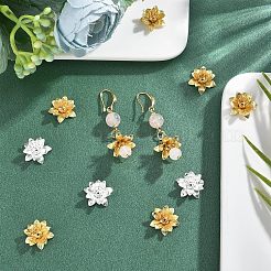 48Pcs 2 Colors 3D Brass Bead Caps&nbsp;KK-FH0002-42