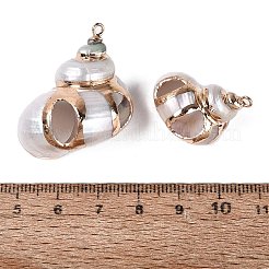 Electroplated Golden Brass Edged Natural Spiral Shell Pendants&nbsp;SSHEL-Q101-04