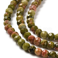 Natural Unakite Beads Strands&nbsp;G-Q002-B01-01