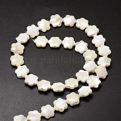 Natural Trochid Shell/Trochus Shell Beads Strands&nbsp;SSHEL-K010-03